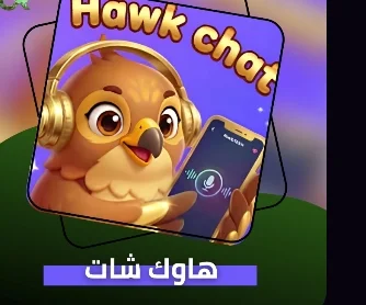 HAWK CHAT